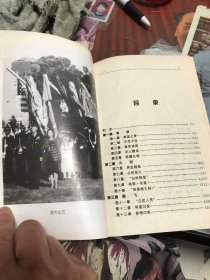 鲍威尔传