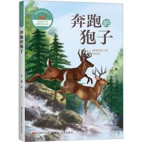 奔跑的狍子