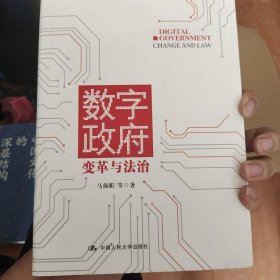 数字政府：变革与法治