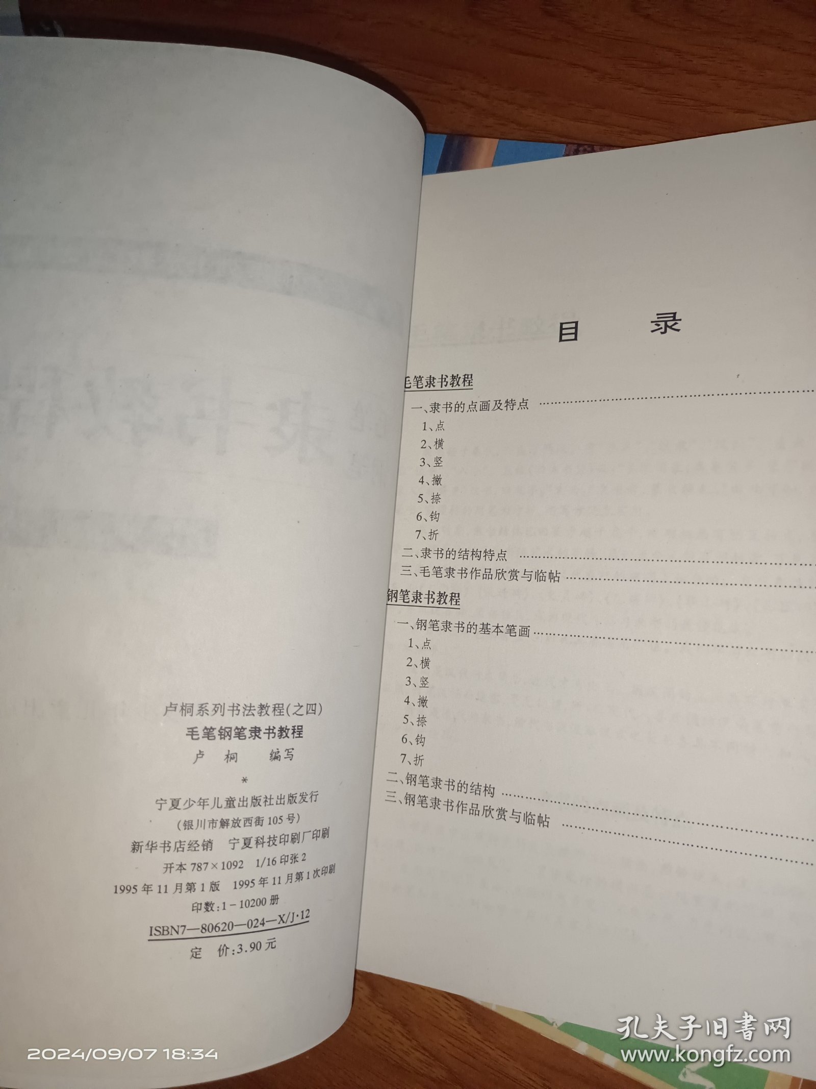 卢桐系列书法教程之1－5