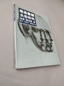 动态素描·头部结构