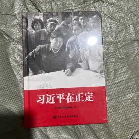 习近平在正定精装