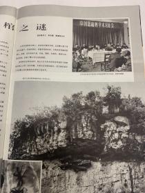 人民画报1981年9月（纪念鲁迅诞辰100周年及中共十一届六中全会）