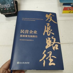 民营企业高质量发展路径