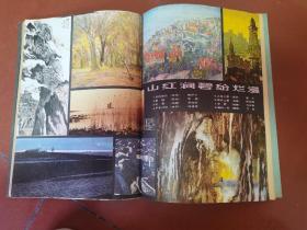 艺术世界1981-5