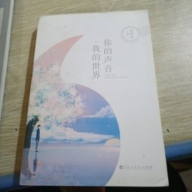 你的声音，我的世界（下）