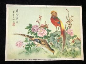 1954年7月 老画片 《 锦堂牡丹 》东亭居士戈湘岚（ff5箱）。