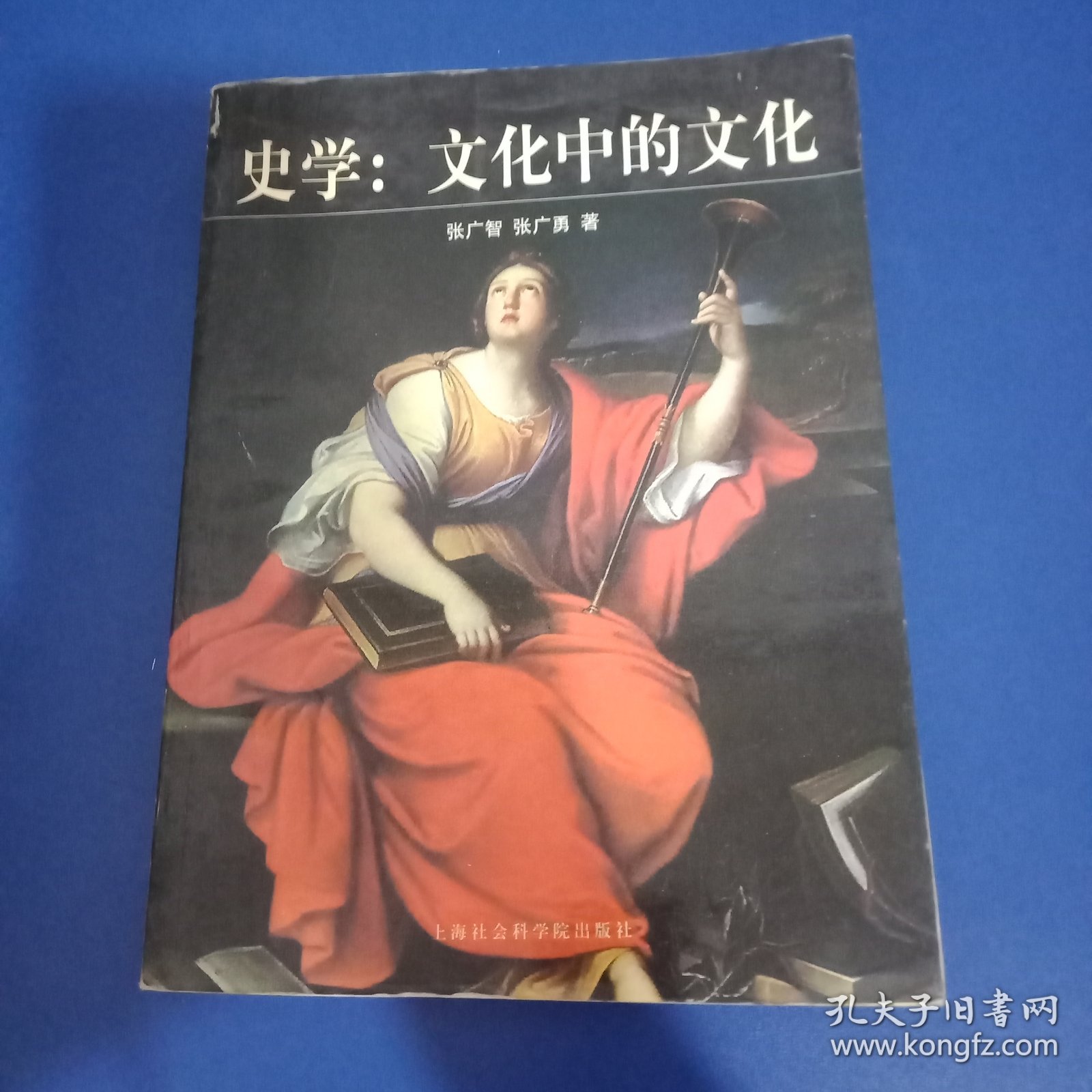 史学(文化中的文化)：西方史学文化的历程