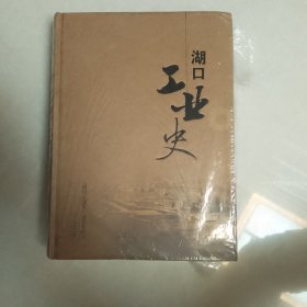 湖口工业史