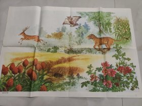 挂图动物世界生态平衡