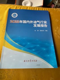 2022年国内外油气行业发展报告