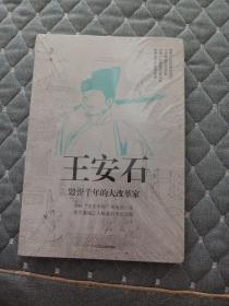 王安石：毁誉千年的大改革家