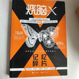 烧脑X2.记忆碎片   京东自营正版图书