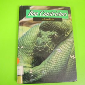 Boa Constrictors