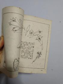花卉画谱 品相自然旧 竖版 非馆藏无涂画 1963年一版一印 精品近85品