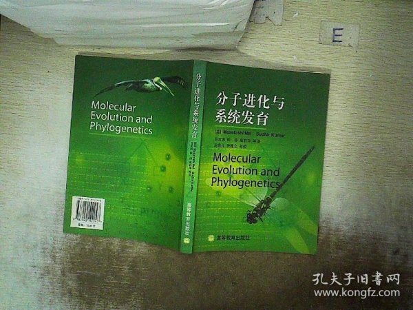 分子进化与系统发育