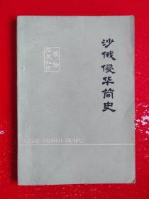 沙俄侵华简史