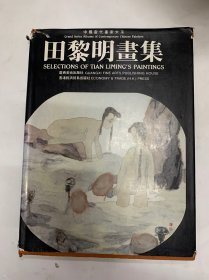 中国当代画家大系 田黎明画集