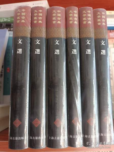 文选(全六册)(精)(中国古典文学丛书）