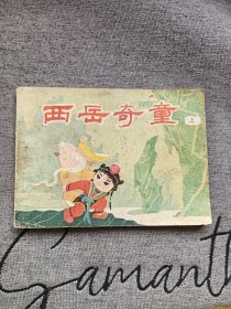 西岳奇童
