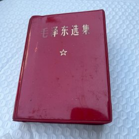毛泽东选集（一卷本）