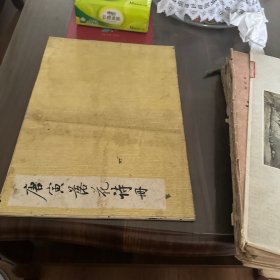 唐寅落花诗册