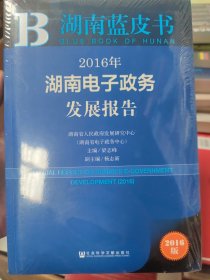 2016年湖南电子政务发展报告