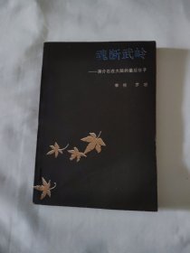 魂断武岭 蒋介石在大陆的最后日子