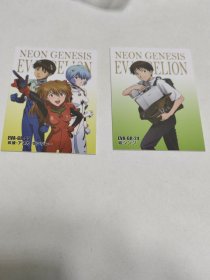 NEON GENESIS EVANGELION (2枚塑料卡合售）