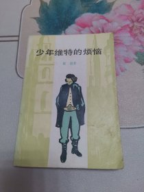 少年维特的烦恼.