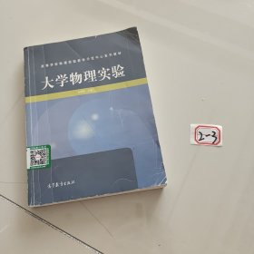 大学物理实验(高等学校物理实验教学示范中心系列教材)