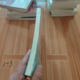 两化融合管理体系贯标流程与方法(快速掌握两化融合操作方法)