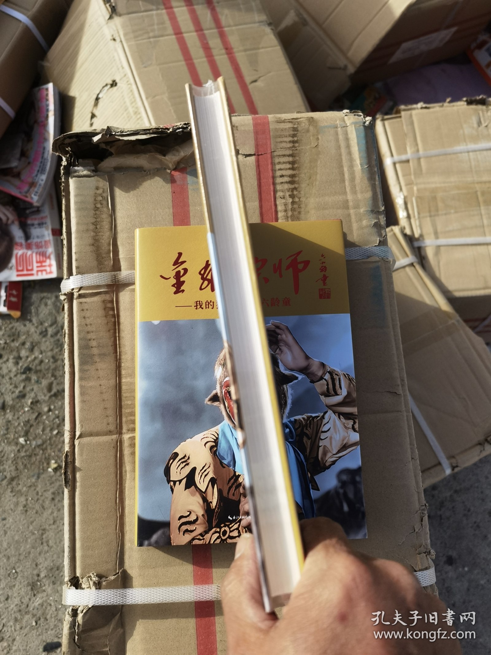 金猴宗师：我的猴王父亲六龄童