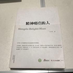 精神明亮的人:王开岭散文随笔自选集