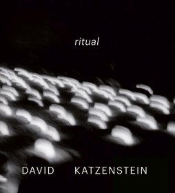 价可议 David Katzenstein Ritual twdzxdzx