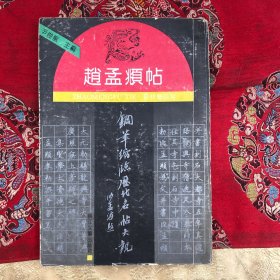 钢笔缩临历代名帖大观：赵孟頫帖