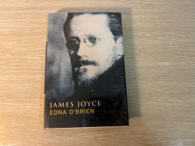 James Joyce 《乔伊斯传》，作者是著名小说家，出版近20部小说。精装