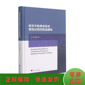 航空宇航推进系统燃烧过程的数值模拟