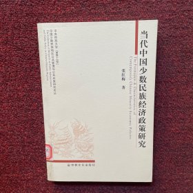 当代中国少数民族经济政策研究