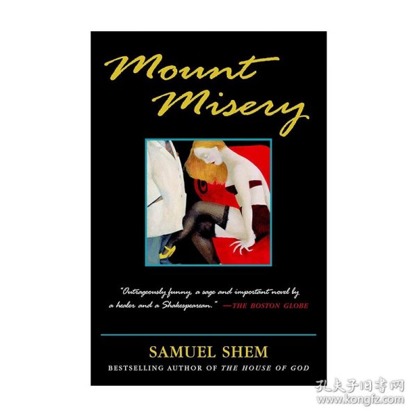 Mount Misery 悲惨山 医疗惊悚小说 Samuel Shem