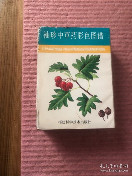 袖珍中草药彩色图谱