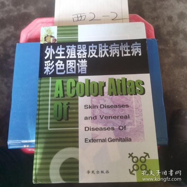 外生殖器皮肤病性病彩色图谱