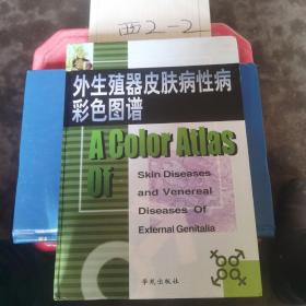 外生殖器皮肤病性病彩色图谱