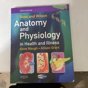 anatomy and physiology