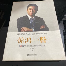 惊鸿一瞥：CCTV首席财经主播陈伟鸿自述