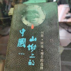 山坳上的中国 问题、困境、痛苦的选择