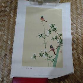 同声相应