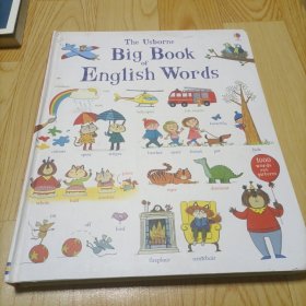 英文原版Usborne Big Book of English Words大开本英语单词词汇书
