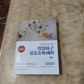 智慧孩子是怎么炼成的4