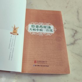 特效药材汤 大病小病一扫光